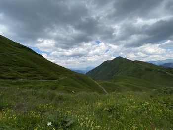 Scenic view of field against sky