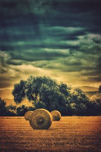 Scenic view of field against cloudy sky