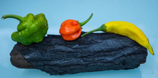 High angle view of red bell peppers against white background