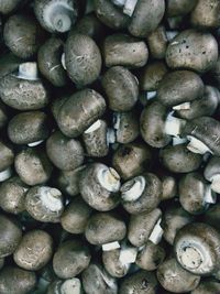 Full frame shot of mushrooms in market