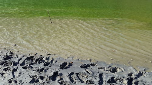 Scenic view of beach