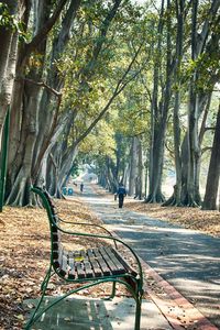 Empty bench in park