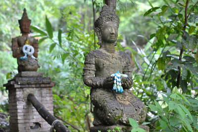 Buddha statue amidst plants