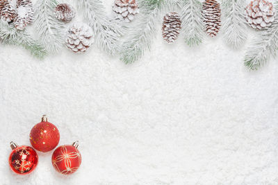 Christmas tree in snow