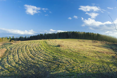 Scenic view of agricultural field against sky