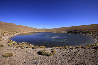 Scenic view of landscape against clear blue sky