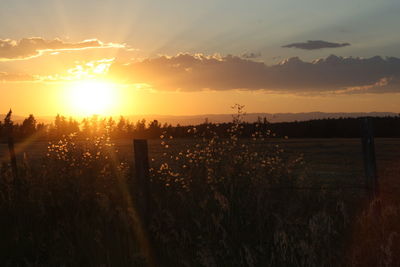 Scenic view of field against sky during sunset