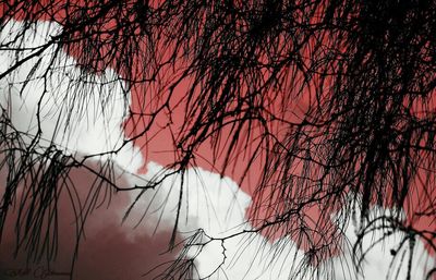 Low angle view of silhouette bare trees against sky