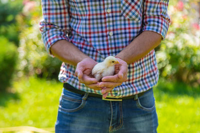 Midsection of man holding plant