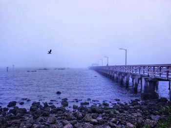 View of birds flying over sea against sky