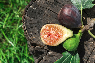 High angle view of fruit on wood