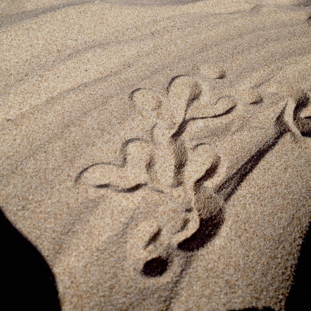 sand, high angle view, beach, footprint, textured, text, western script, full frame, communication, shadow, close-up, sunlight, art, backgrounds, day, creativity, outdoors, no people, art and craft, pattern