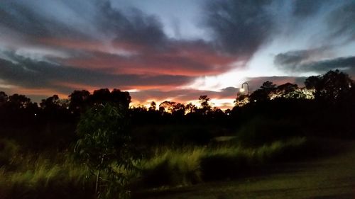 Trees on field against sky at sunset