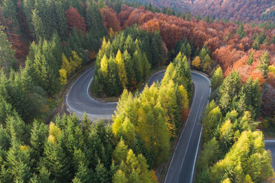 Aerial view of a beautiful mountain road cutting through the colorful forest, in transylvania