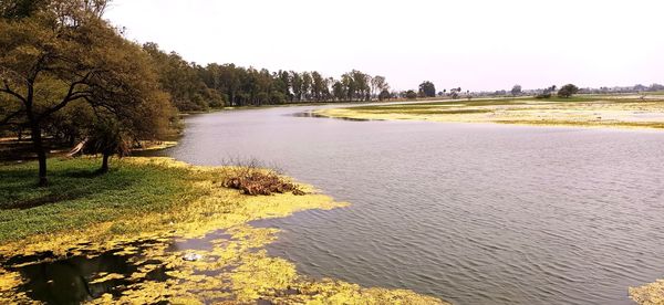 Scenic view of lake against clear sky