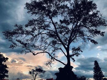 Low angle view of silhouette tree against sky at sunset