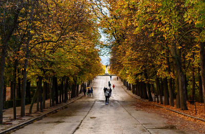 Rear view of people walking on footpath amidst trees during autumn