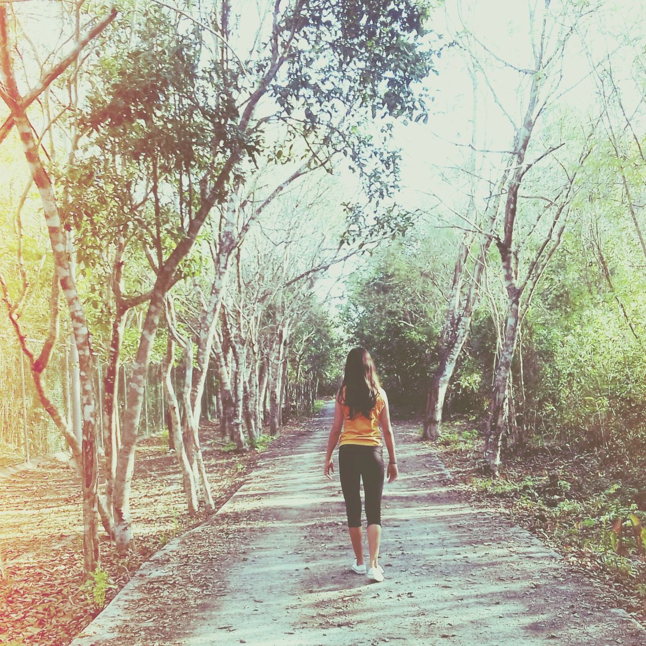 rear view, tree, full length, real people, one person, nature, lifestyles, walking, leisure activity, the way forward, young adult, standing, young women, women, beauty in nature, day, outdoors, sky, people