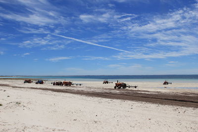 Tractors at beach against blue sky