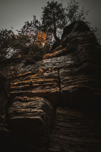 Low angle view of rock formation in forest against sky