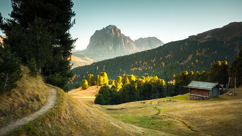 Road amidst field against sky