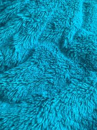 Full frame shot of blue rug