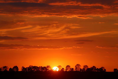 Silhouette trees against dramatic sky during sunset