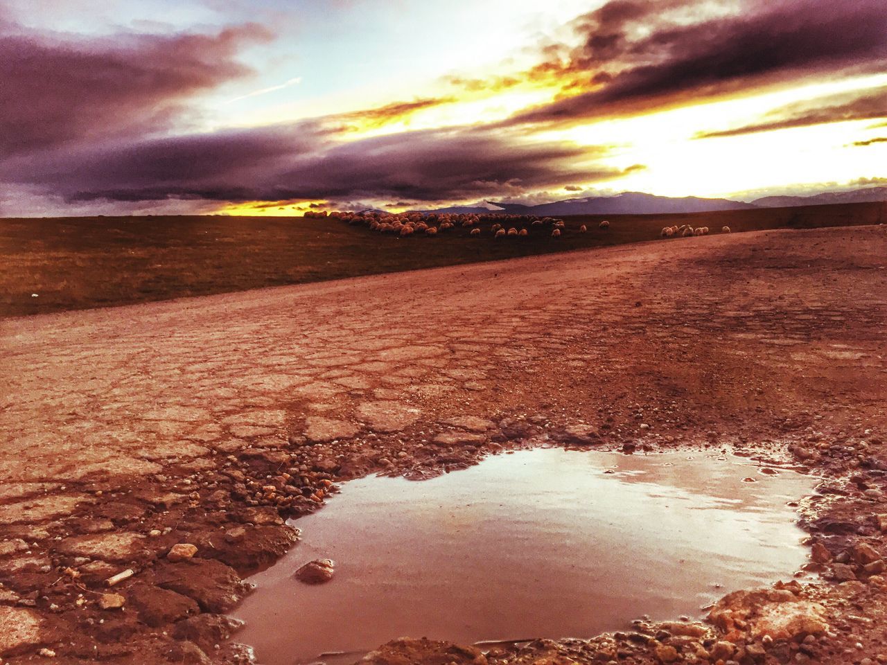 REFLECTION OF SKY ON PUDDLE AT SUNSET