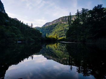 Scenic view of lake by trees against sky