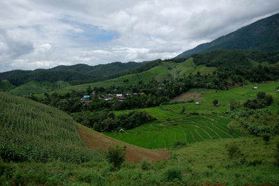 Scenic view of agricultural field against sky