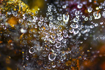 Full frame shot of wet bubbles