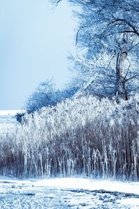 Scenic view of frozen sea against sky