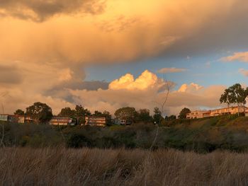 Scenic view of field against sky at sunset