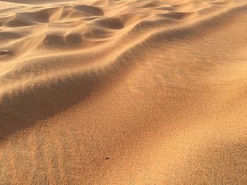 High angle view of sand at beach