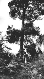 Full length of woman standing on tree trunk