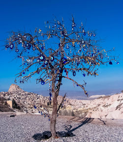 View of tree in desert against clear blue sky