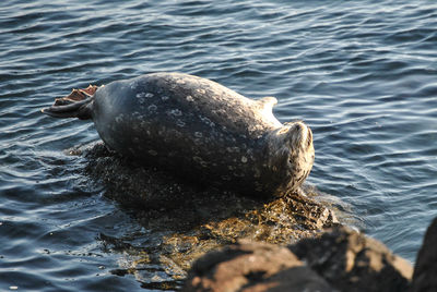 View of water in water