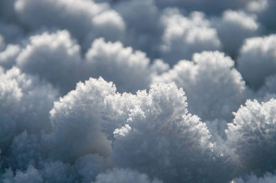 Low angle view of tree against sky