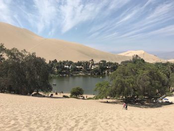 Trees by lake amidst desert against sky