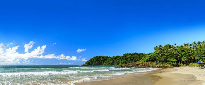 Scenic view of beach against blue sky