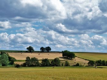 Scenic view of field against sky