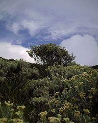 Scenic view of landscape against cloudy sky