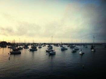 Boats in harbor