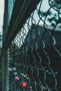 Close-up of chainlink fence