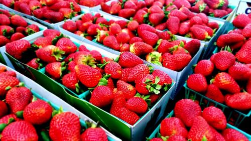 High angle view of fruits for sale in market