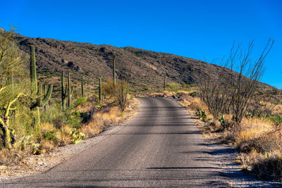 Narrow road along plants and mountains against clear blue sky