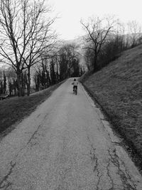 Rear view of man riding bicycle on road