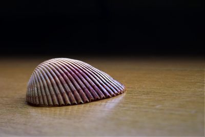 Close-up of spiral on table against black background