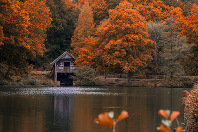 Scenic view of lake in forest during autumn