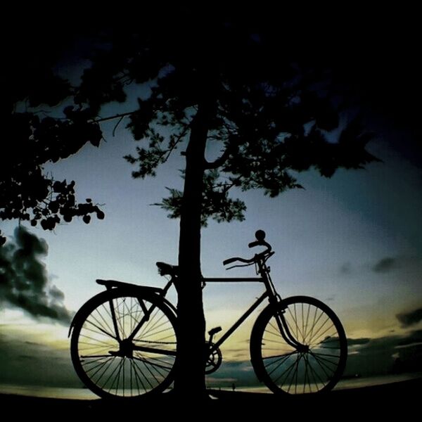 bicycle, mode of transport, transportation, land vehicle, stationary, silhouette, parking, parked, sky, wheel, tree, sunset, tranquility, no people, nature, outdoors, beauty in nature, day, cloud - sky, sunlight